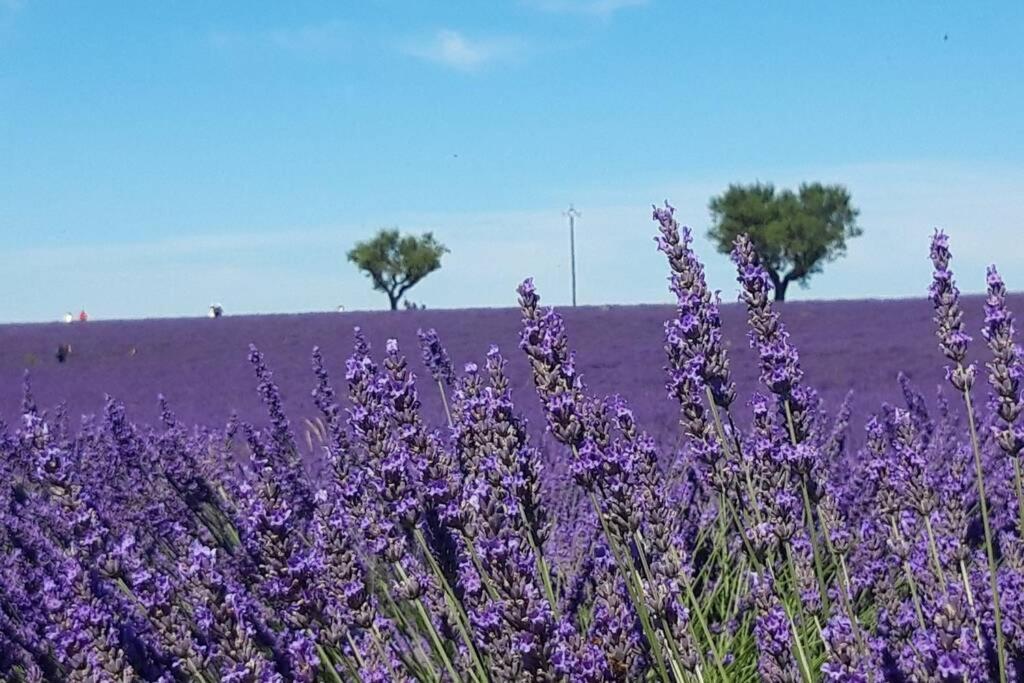 Lou Paradiu Du Verdon Allemagne-en-Provence Eksteriør billede